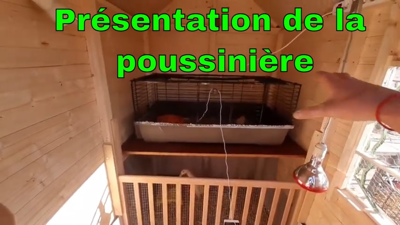 pr-sentation-de-notre-poussini-re-maison-youtube