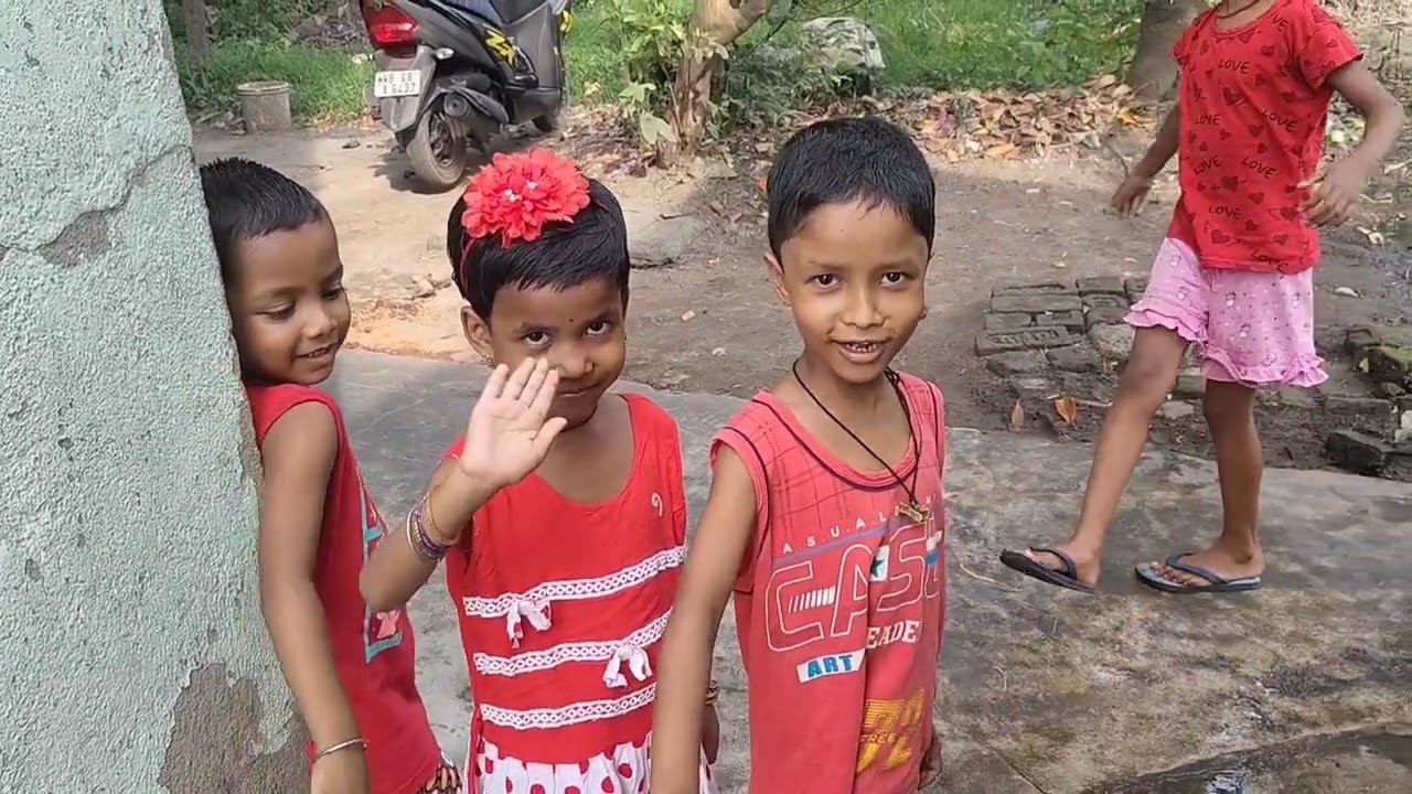 এক মুঠো চলে ঝাঁক ঝাঁক পায়রা ভিডিওটা দেখলেই বুঝতে পারবে