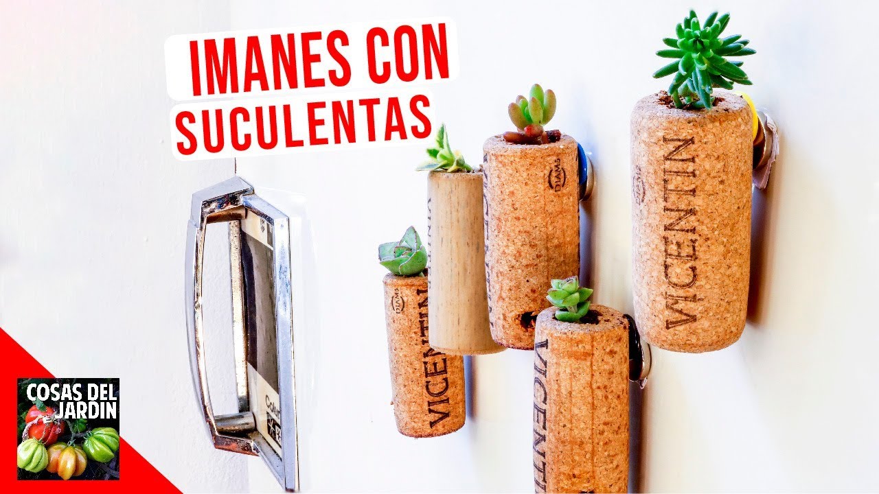 IMANES CON SUCULENTAS - MUY FACIL!! COMO HACER? RIEGO CUIDADOS
