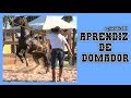 APRENDIZ DE DOMADOR -  EPISÓDIO III