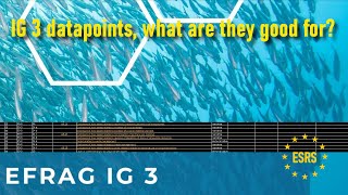 ESRS: IG-3 Datapoints what are they and how can we (not) use them