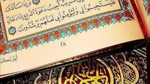 تلاوة خاشعة لسورة يوسف  للقارئ عمرو الضالعي