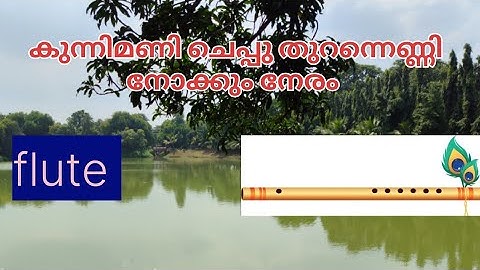 #flutemusic #malayalamfilmsongs 