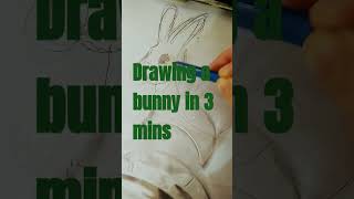 drawing a bunny in 3 mins!