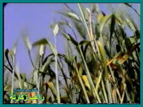 من سهول ديرغزالة عام 1997