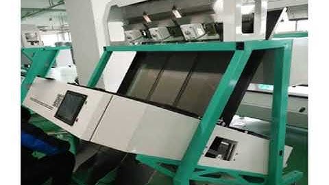 dry grapes sorting machines