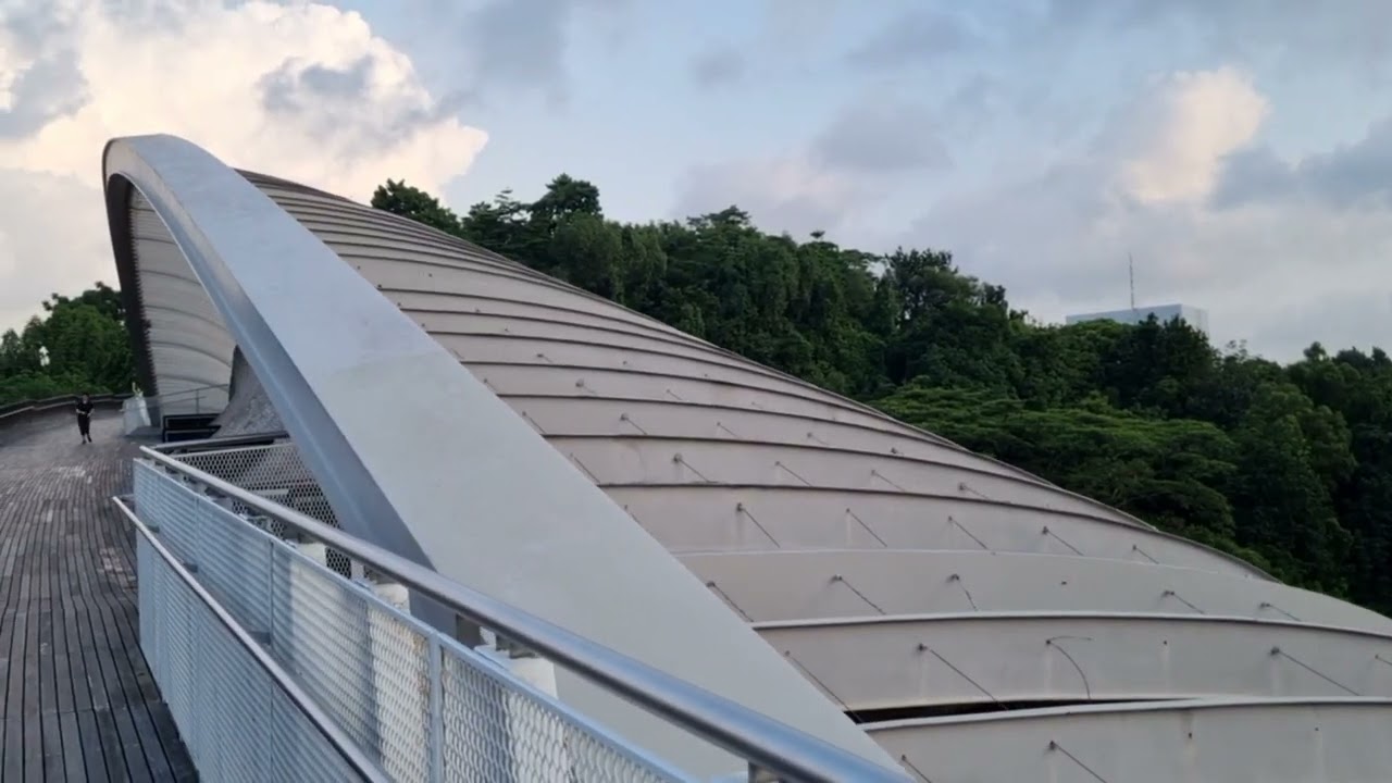 花芭山圣淘沙徒步 寻找网红树洞 Youtube 花芭山圣淘沙徒步 寻找网红树洞 Youtube
