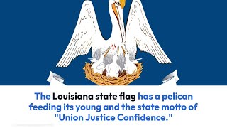 Louisiana State Symbols: Flag, bird, flower, fruit