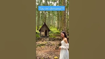 Review Wisata Viral Purwokerto #video #banyumas #viral #viralvideo #wisata #kuliner #makan #trending