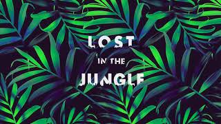 LOST IN THE JUNGLE - (Downtempo, Electro Tribal & Ethnic) - Compilation