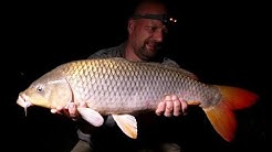 Matze Koch: Boilies und Karpfen Teil 1 - Matzes Mätzchen 08-2018