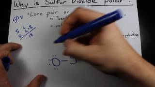 Why is Sulfur Dioxide Polar?