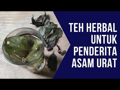 CARA MEMBUAT TEH DAUN SALAM UNTUK ASAM URAT TINGGI || SEHAT TUBE