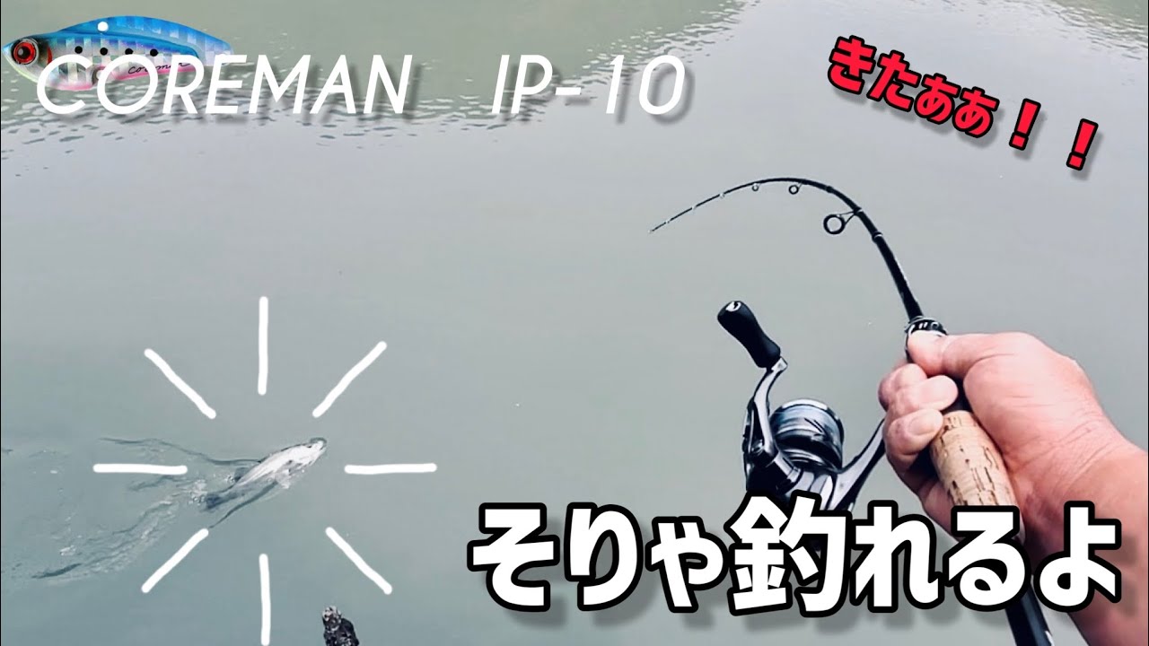 コアマン　IP-10　セコイぜ　10g　　COREMAN　