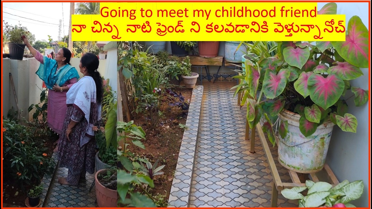 Video42: Going to meet my childhood friend నా చిన్న నాటి ఫ్రెండ్ ని కలవడానికి వెళ్తున్నానోచ్
