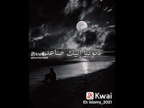 ١١ مايو ٢٠٢٣