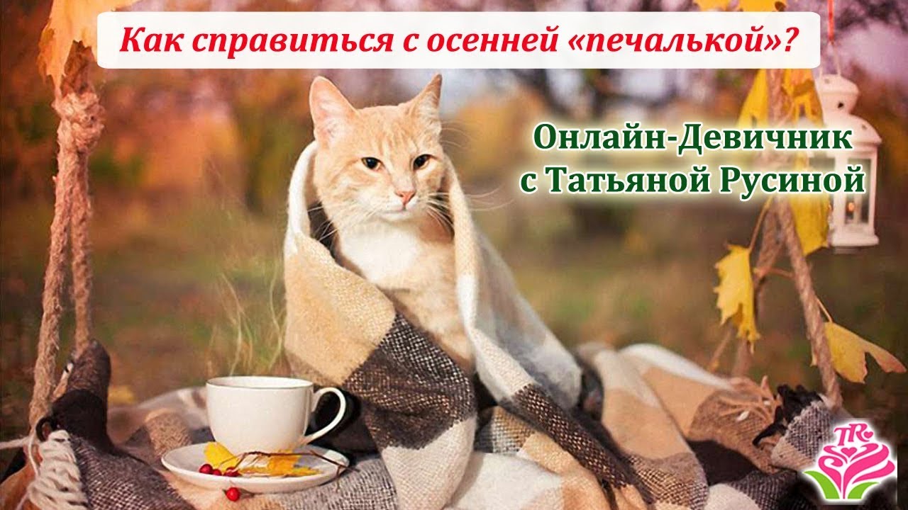 Фото Осеннего Доброго Утра Любимой
