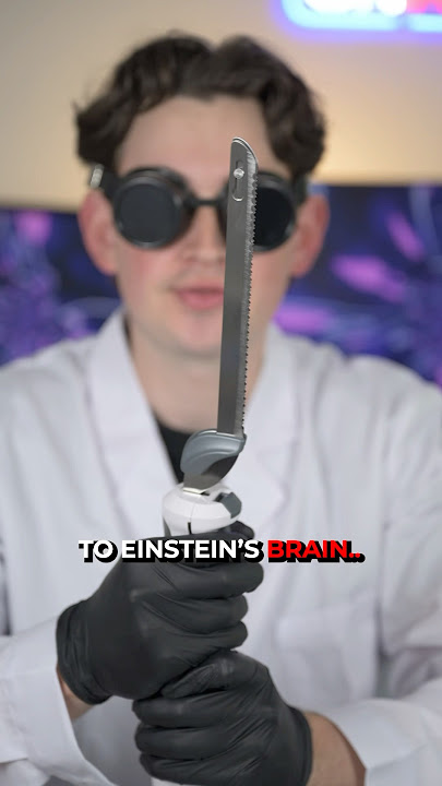 How Einstein’s Brain Was Stolen.. 😳🧠