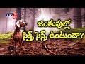 Do Animals Have Sixth Sense? : Can Animals Predict Natural Disasters? : Nijam