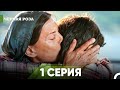 Чёрная Роза Все Серии Часть 1