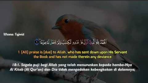 سورة الكهف كاملة بصوت القارئ حسن صالح | تلاوة خاشعة جدا 🧡