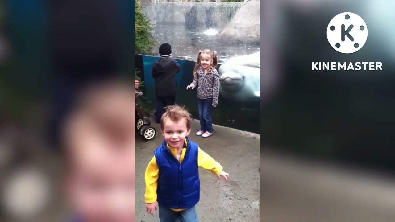 Band Geeks Sea Turtle Slaps In The Water one Faster Parison