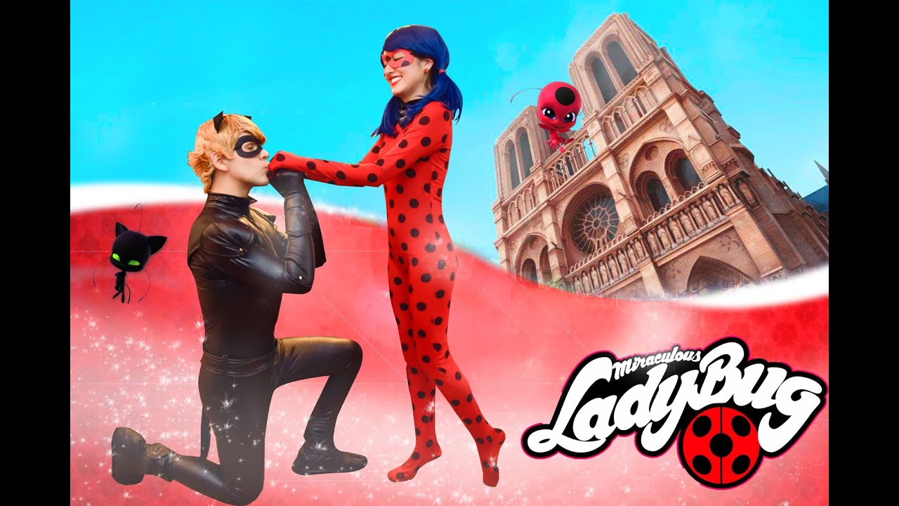 Ladybug and Cat Noir - Miraculous Show Infantil