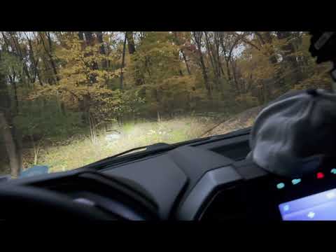 Why Won't My Car Move When It's in Drive?