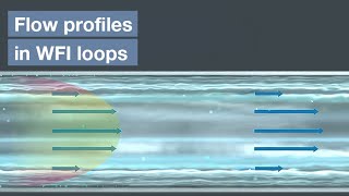 Flow profiles in WFI loops