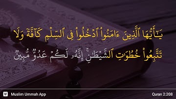 سوره بقره آیه 208