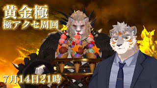 【FF14】黄金極アクセ周回！【Vtuber/凍凪コウガ】
