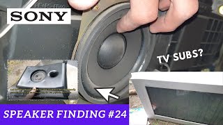 Speaker Finding #23: Daewoo 3-way Plasma TV Speakers, Sony Wega 2.1, and More!