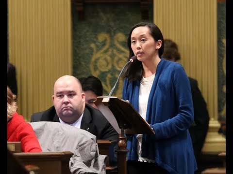 democrats qualified for next debate Rep. Stephanie Chang Opposes HB 4500