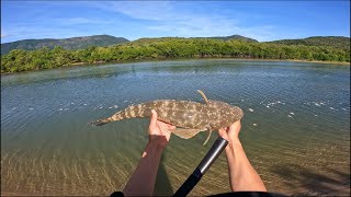 Cairns Land Based Fishing (Crystal Clear Water)