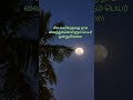 #tamil #love #reels #song #lyrics #love #tamilsong #lovesong #sad #music #life #like #live #shorts