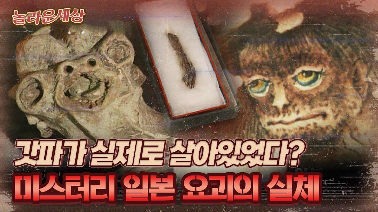 [놀라운 세상] 갓파가 실제로 살아있었다? 미스터리 일본 요괴의 실체｜#놀라운세상 MBC110628방송 - YouTube