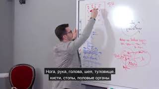 Набор фактов и реальность, А.В. Курпатов Набор фактов и реальность, А.В. Курпатов