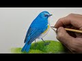 ルリビタキを描く】Paint a Red-flanked bluetail / Time lapse 58