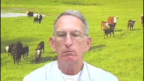 Remodeling Cattle Handling Facilities