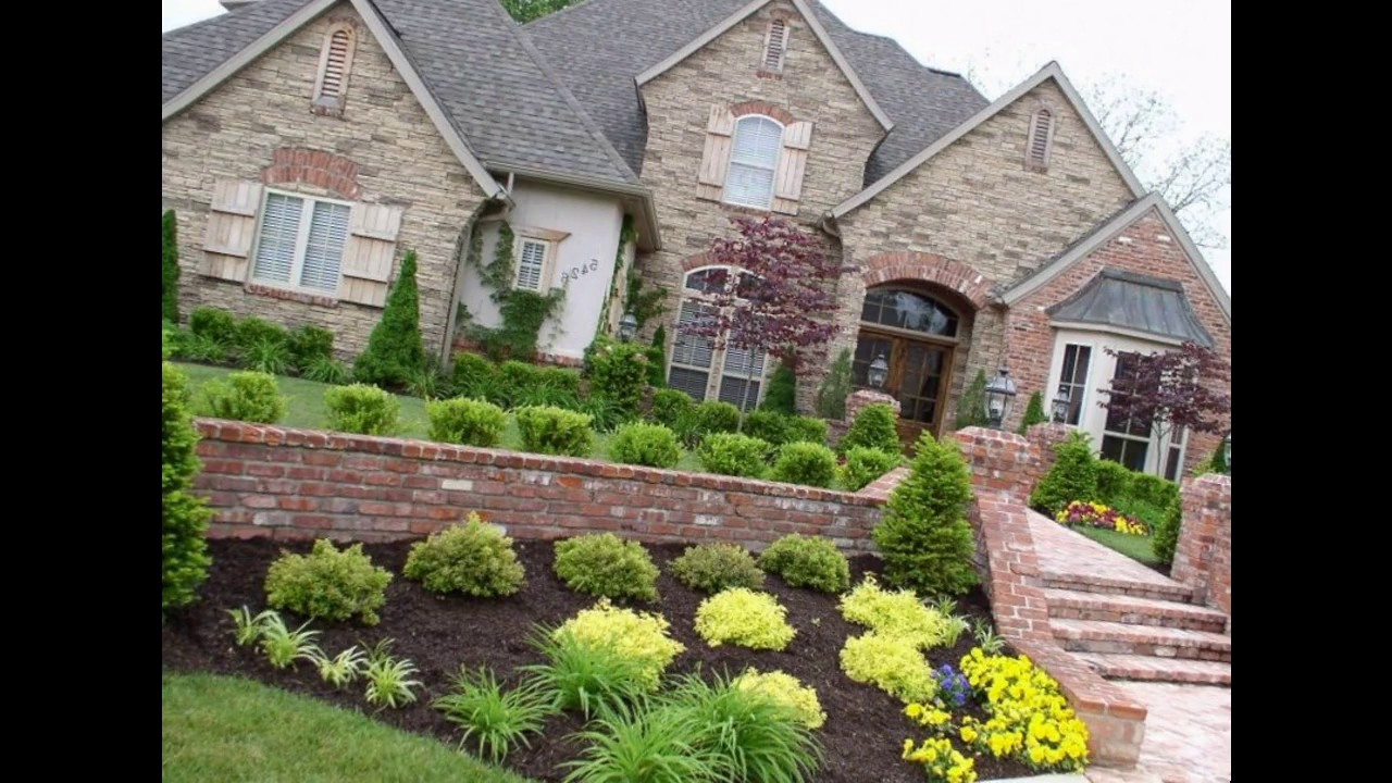 Mejor pequeño patio árboles de jardín - YouTube