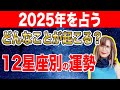 【占星術】で見る2025年の運勢【12星座別】星読み【こんなことが起こる】