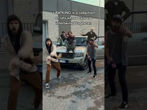 在 YouTube 上观看 Can you relate to our new song lyrics?