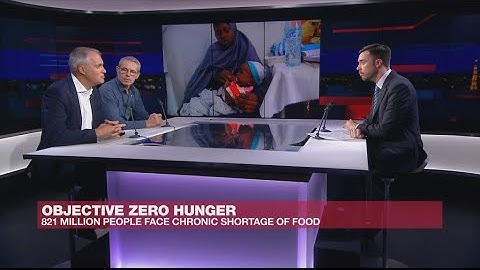 Objective Zero Hunger: How to reduce chronic food shortages?