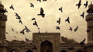 سورة الفجر - ماجد الزامل