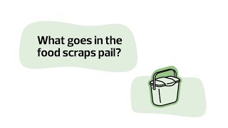 Apartment and Condos: Sorting Your Food Scraps