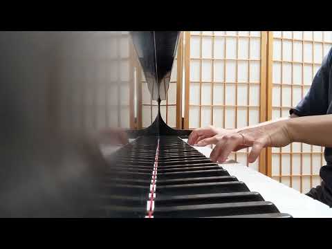 I will Wait For You from Les Paraplues de Cherbourg 1964 (The Umbrellas of Cherbourg)  (arrangement)