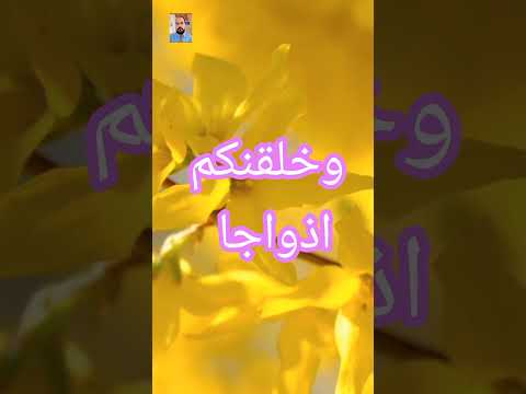 الم نجعل الأرض مهادا والجبال اوتادا