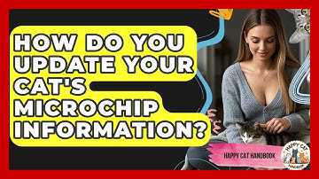 How Do You Update Your Cat