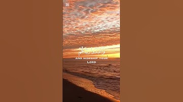 سورة:"الحج" إية: "77" #آيات_بينات #اكسبلور #إشتراك #القرآن_الكريم #راحة_نفسية #لايك