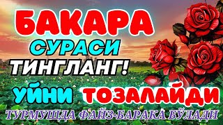 Бақара сураси Уйга ШАЙТОН кирмайди !!! Baqara surasi БАКАРА BAQARAH | БУ СУРАНИ УҚИНГ